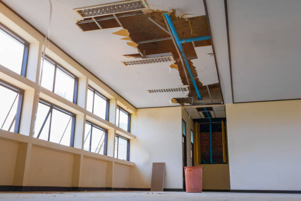 Best Residential water damage restoration  in Lake Sconsin, WI