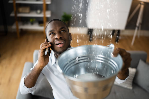 Best Residential water damage restoration  in Lake Sconsin, WI