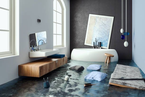 Best Mold removal after water damage  in Lake Sconsin, WI