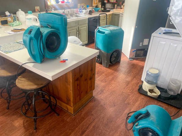 Best Local water damage restoration  in Lake Sconsin, WI