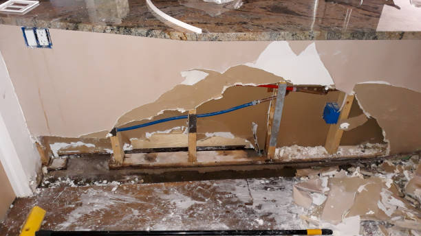 Best Flooded house restoration  in Lake Sconsin, WI