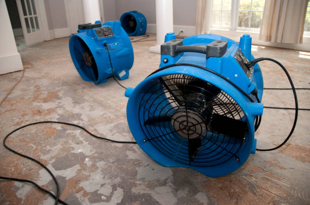 Best Basement water damage restoration  in Lake Sconsin, WI