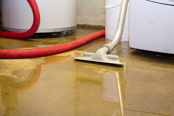 Best Water damage restoration near me  in Lake Sconsin, WI