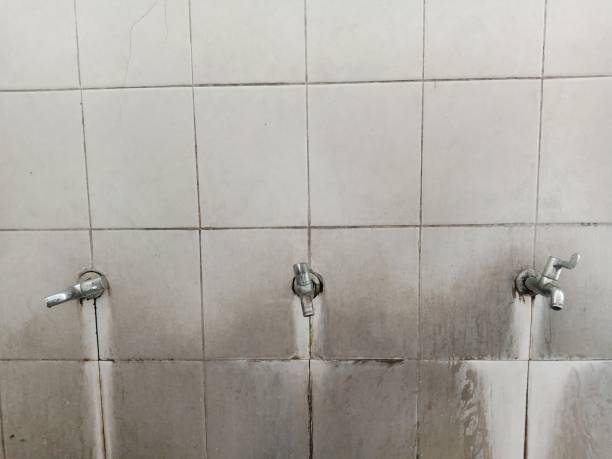 Best Emergency water damage restoration  in Lake Sconsin, WI