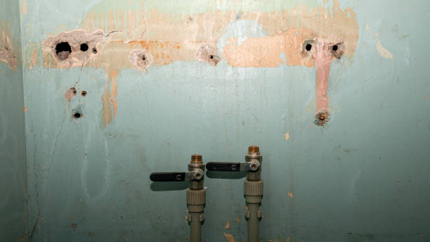 Best Commercial water damage restoration  in Lake Sconsin, WI