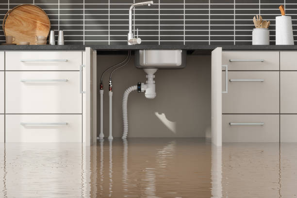 Best Sewage cleanup and water damage restoration  in Lake Sconsin, WI