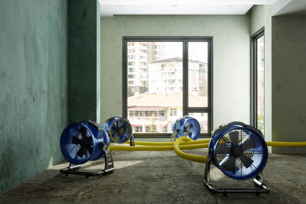 Best 24/7 water damage repair  in Lake Sconsin, WI