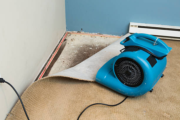 Best Water damage restoration near me  in Lake Sconsin, WI